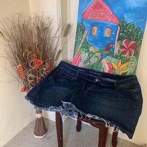 Girlfriend shorts Lane Bryant size 26